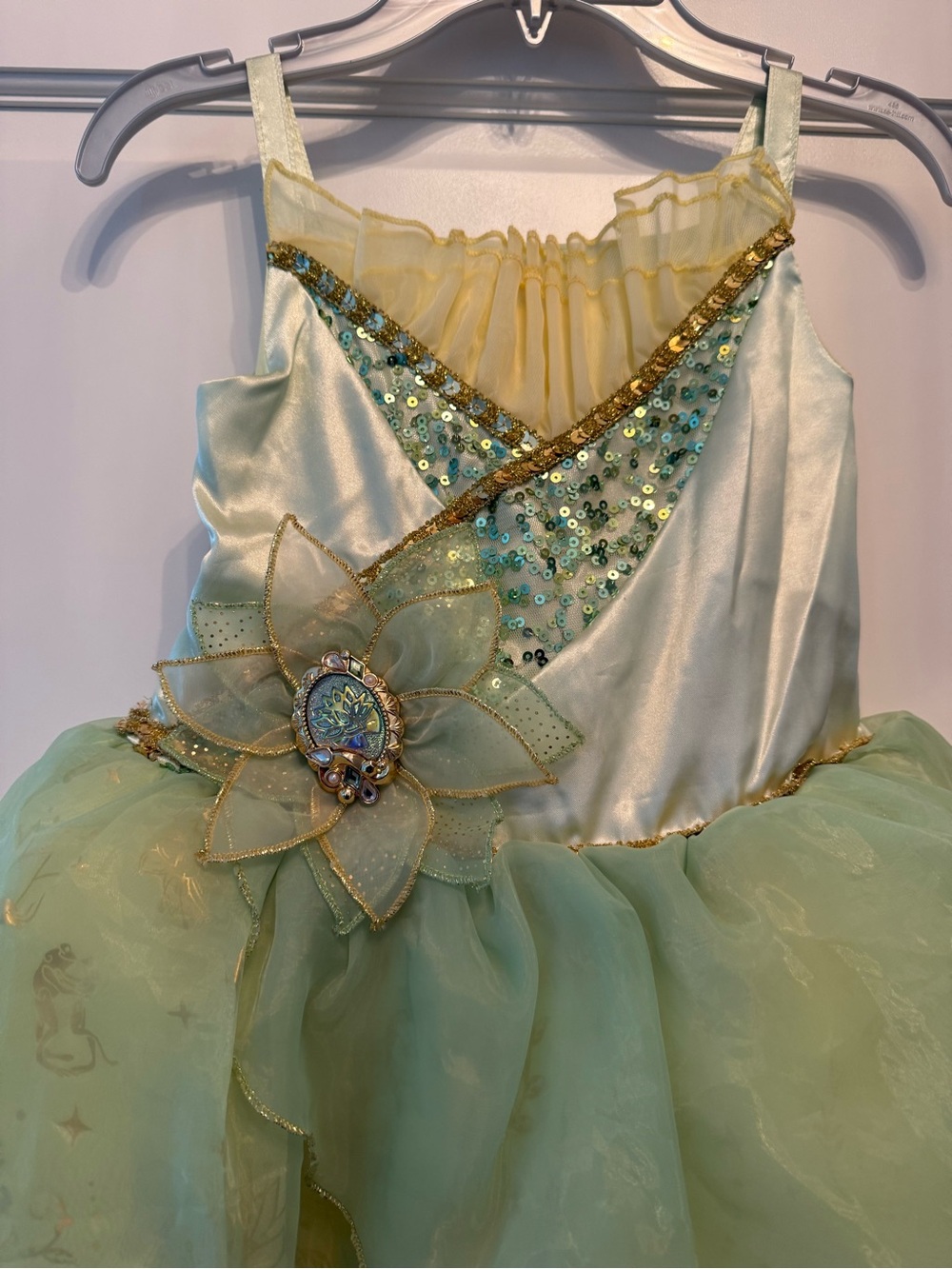 Disney Princess Tiana Dress